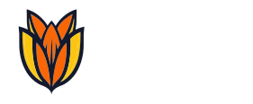 Bloom.host